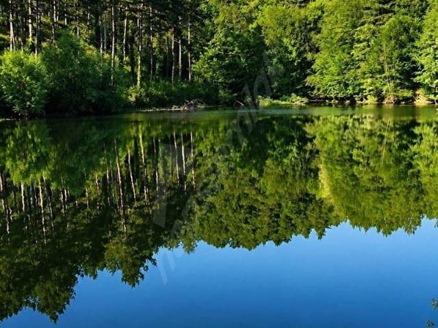 BOLU MERKEZ SACCILAR KÖYÜ SATILIK TARLA
