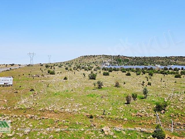 BÖLGE UZMANI RECEP OLGUN' dan 378 M2 İMARLI ARSA %50 4 KAT