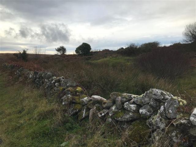 35,000 | Boliska Eighter, Spiddal, Galway DNG Martin O'Connor Auctioneers 4944 MyHome. Ie Residential