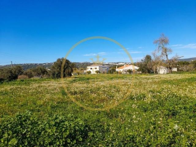 Boliqueime Algarve 93362057