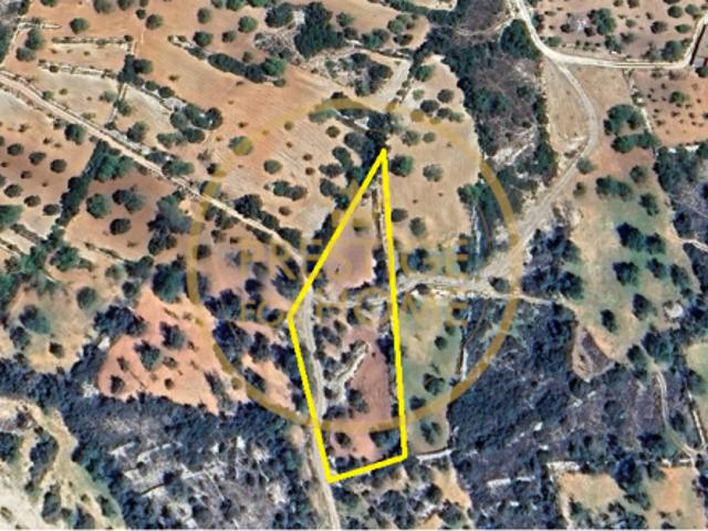 Boliqueime Algarve LS98675968