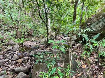 Boquerón | Finca en Chiriqui, Boquerón, 22.5 hectáreas en Meseta