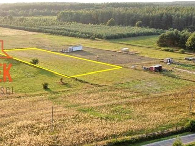 Boryszewo 2 500 m², Boryszewo