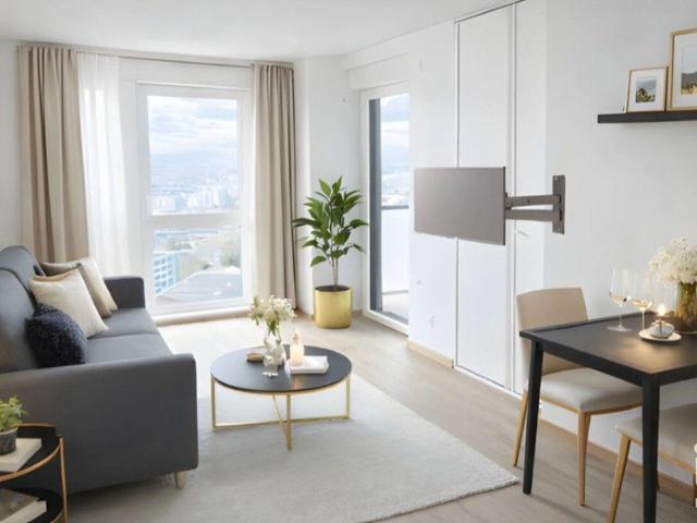 Bordeaux Vente Appartement 33