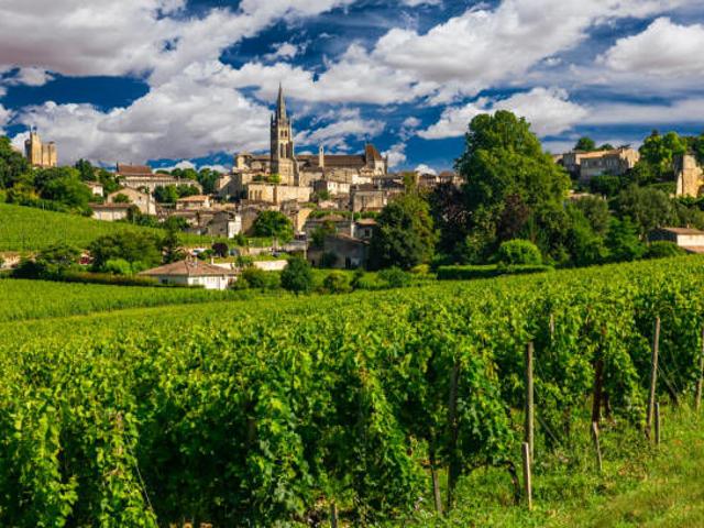 Bordeaux Vente Propriété/château 33