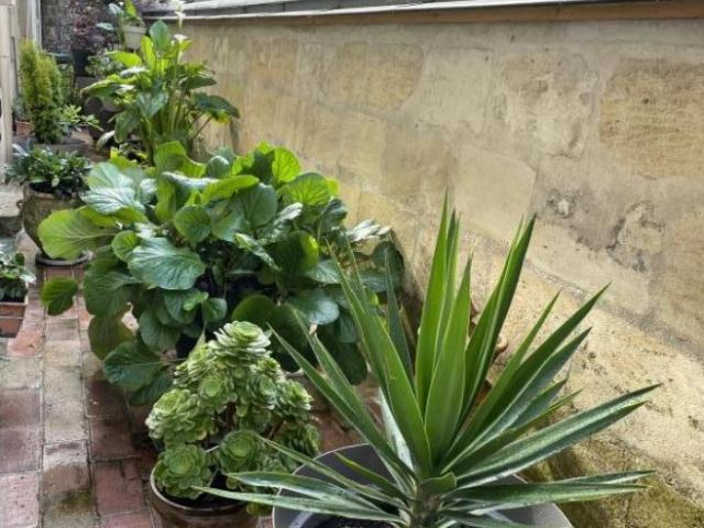 Bordeaux Location Appartement 33