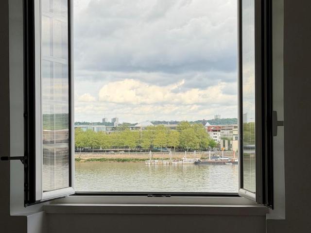 Bordeaux quais Charmant T2 bis rénové avec superbe vue sur la Garonne