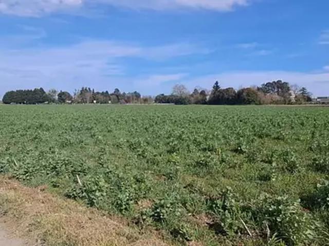 Bordères sur l'Echez 65320 Achat / Vente terrain