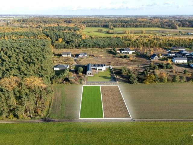 Borecka 1 665 m², Poznań