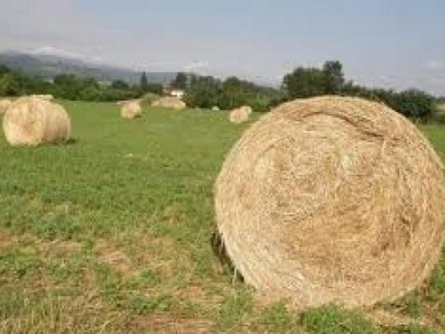 BORGO S LORENZO 6 HA TERRENO ANNESSI SORGENTE