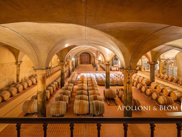 Borgo Storico, Vigneti Chianti Classico, Cantina, Siena Tosc. 4640m² Castellina in Chianti