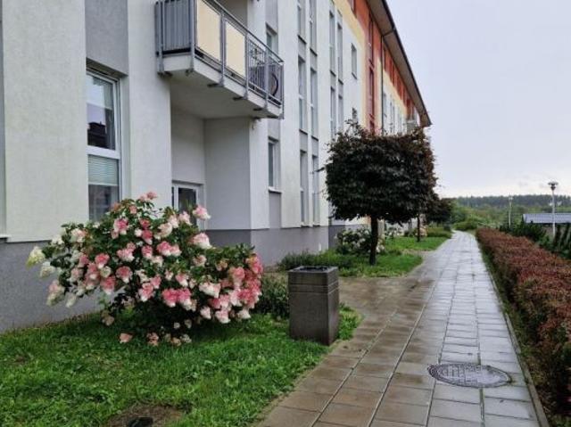 Borkowo/37m2/Miejsce postojowe – BH Iga Turska