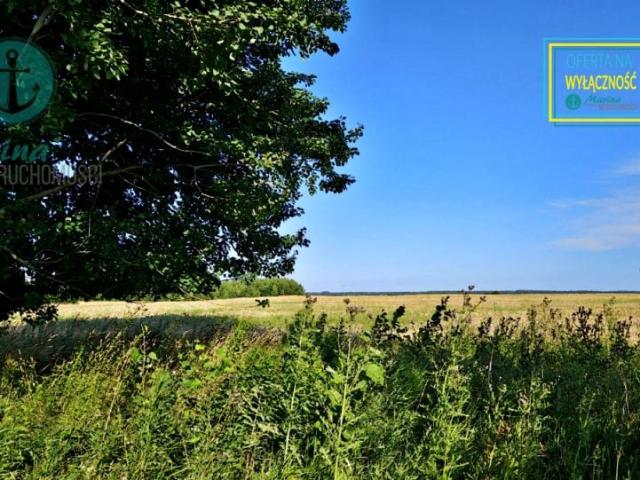 Borkowo 1 153 m², Borkowo Lęborskie