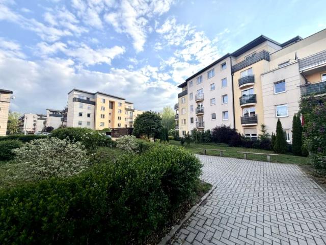 Borkowska 35 m², Kraków