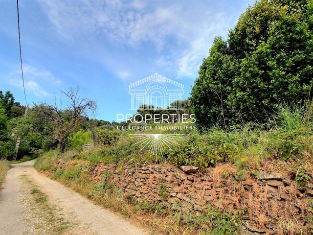 Bormes les Mimosas Vente Terrain 83