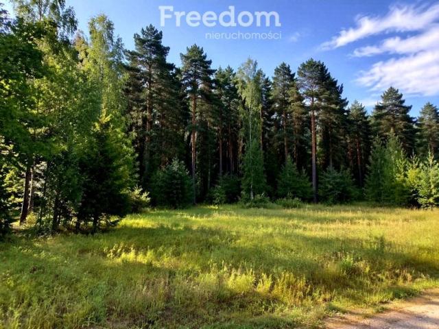 Borowa 18 361 m², Lesznowola