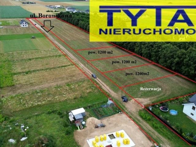 Borowikowa 1 200 m², Giełczyn