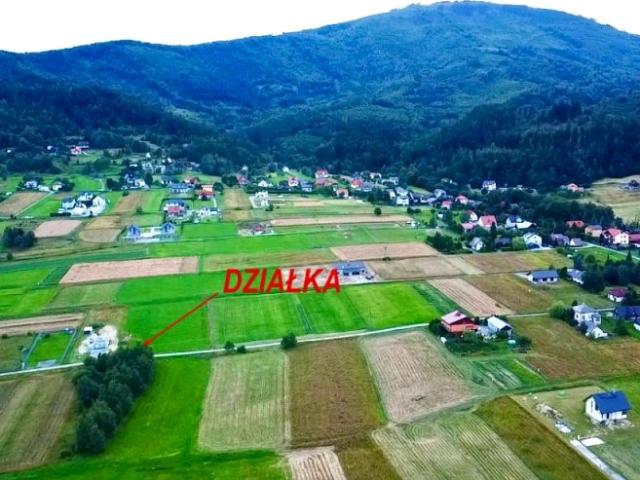 Borowikowa 825 m², Lipowa