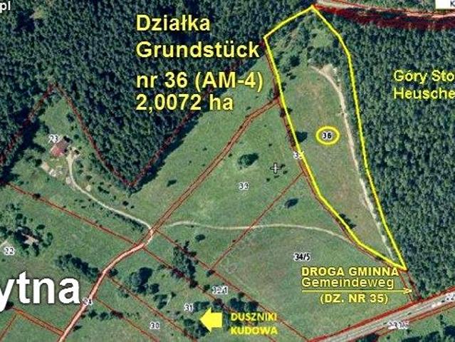 Borowina 20 000 m², Szczytna