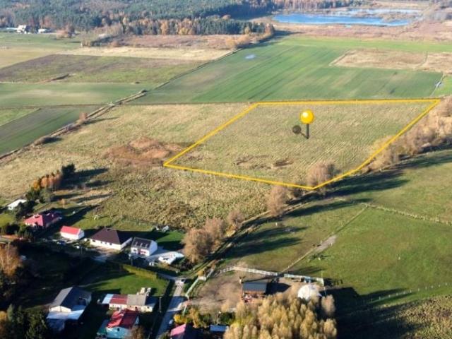 Borówkowa 34 221 m², Korzystno