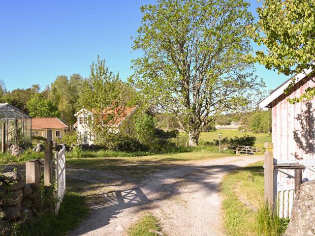Borrekärr Lökholmen 1