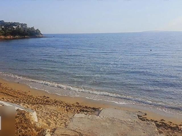 Borsem Datça Kaplankaya Mevkii Yatırım Değeri Yüksek Zeytinlik