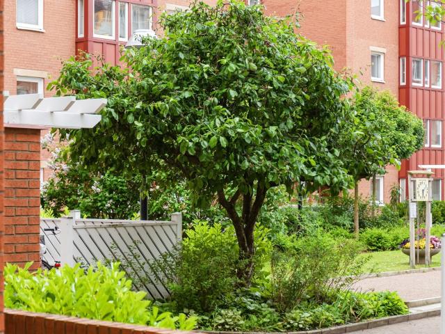 Bostadsrätt till salu i Malmö Östra Förstadsgatan 17G | Länsförsäkringar Fastighetsförmedling