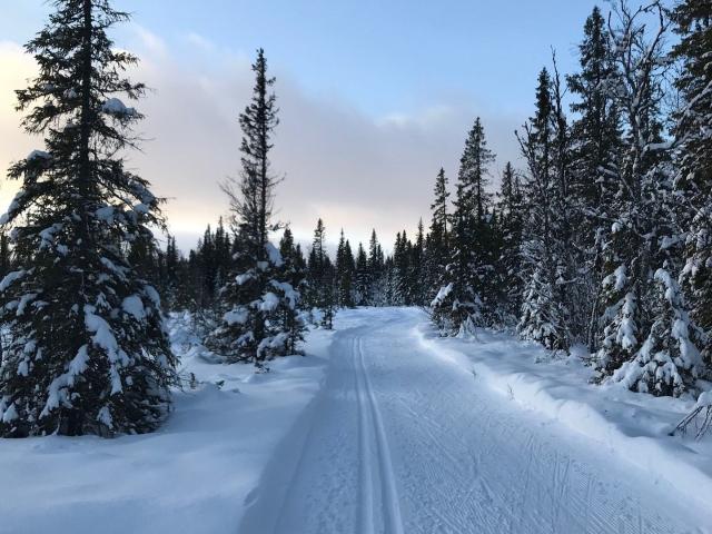 Bostadsrätt till salu i Åre Copperhill 50 D | Länsförsäkringar Fastighetsförmedling
