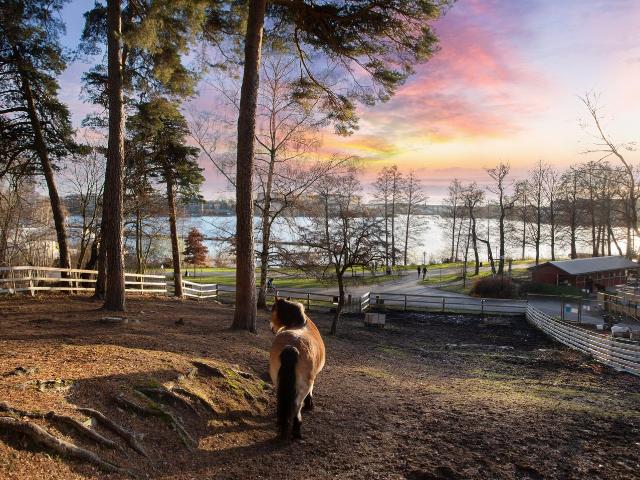 Bostadsrätt till salu i Solna Wiboms väg 2 | Länsförsäkringar Fastighetsförmedling