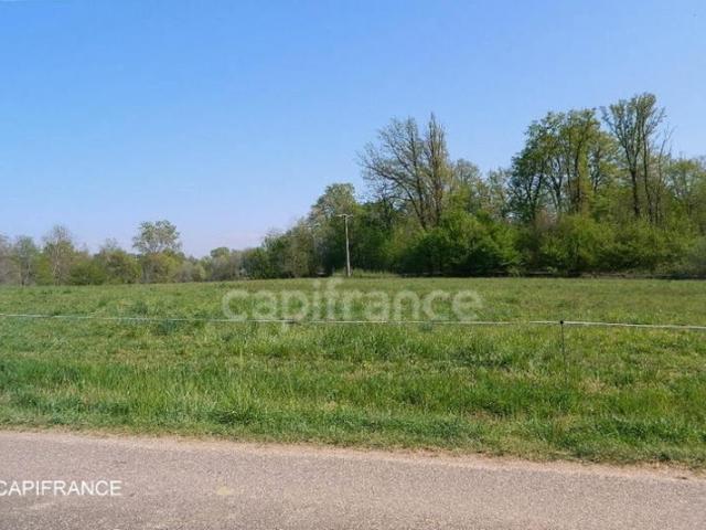 Bosjean Vente Terrain 71