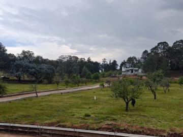 Bosque Imperial | Exclusividad en Acaxochitlán