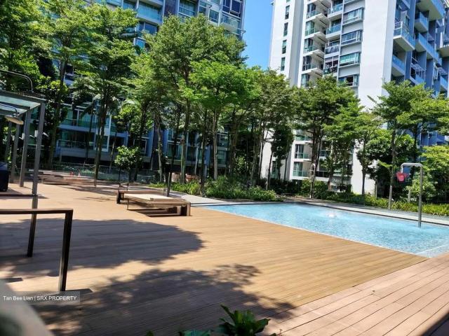 Botannia D5, Condominium