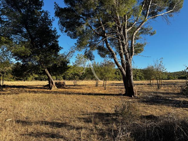 Boutenac Vente Terrain 11