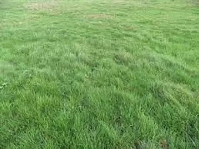 Boutigny sur Essonne 91820 Programme neuf terrain neuf à vendre