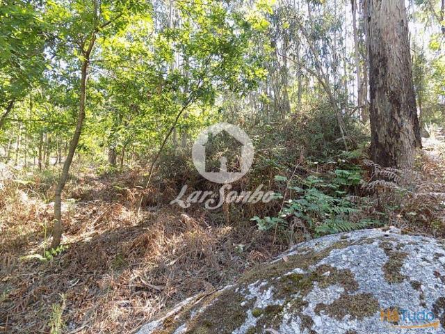Bouça c/1.500m2 Arnoso Sta. Eulália | 26062040521