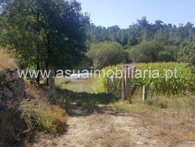 Bouça e Campo Ferreiros | 26063824366