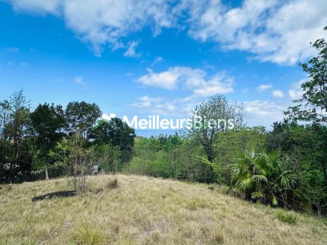 Bouillante Vente Terrain 97