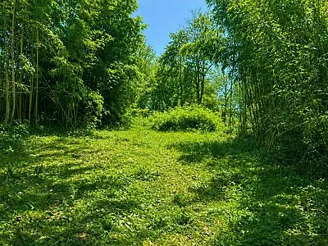 Boulazac 24750 Programme neuf terrain neuf à vendre