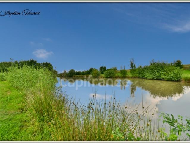 Boult aux Bois Vente Terrain 08