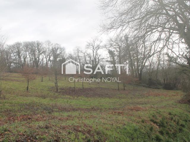 Boumourt Vente Terrain 64