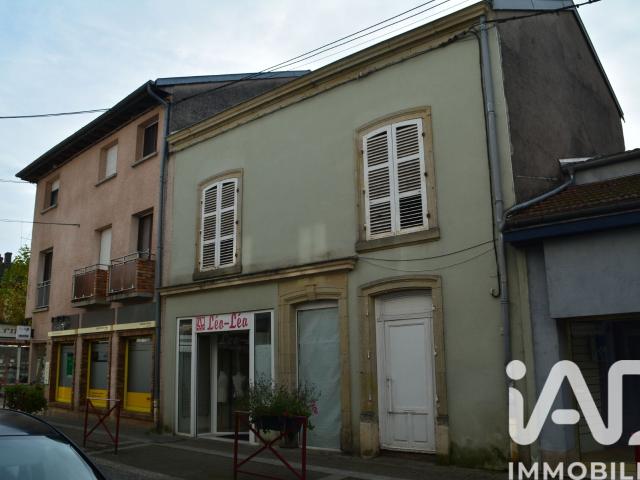 Bourbonne les Bains Vente Maison 52