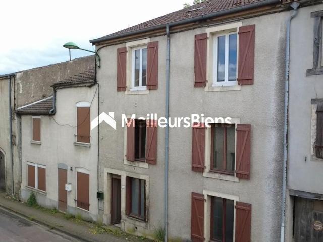 Bourbonne les Bains Vente Immeuble 52