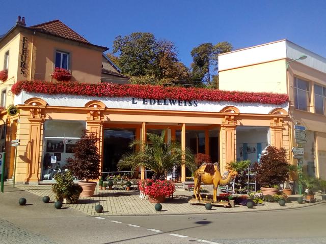 Bourbonne les Bains Vente Immeuble 52