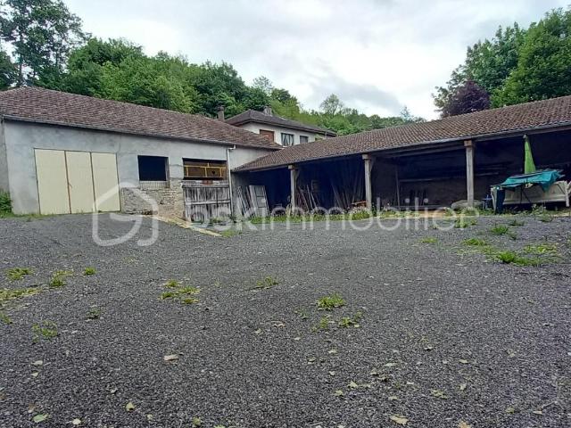 Bourbonne les Bains Vente Remise / Grange 52