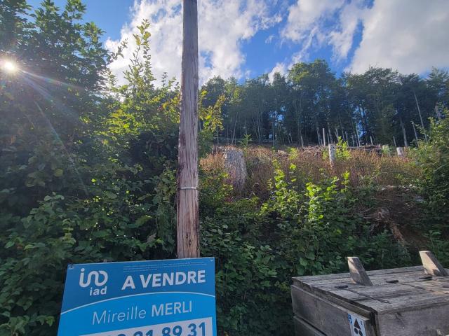 Bourbach le Haut Vente Terrain 68