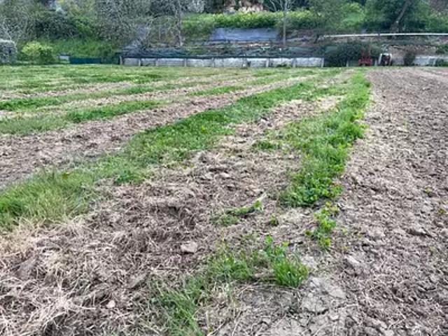 Bourg 33710 Programme neuf terrain neuf à vendre