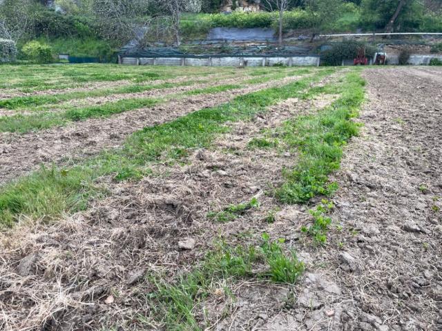 Bourg Vente Terrain 33