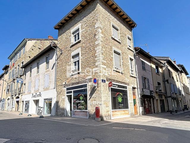 Bourg en Bresse Vente Immeuble 01