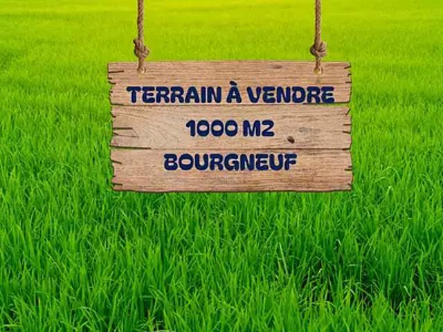 Bourgneuf 17220 Achat / Vente terrain