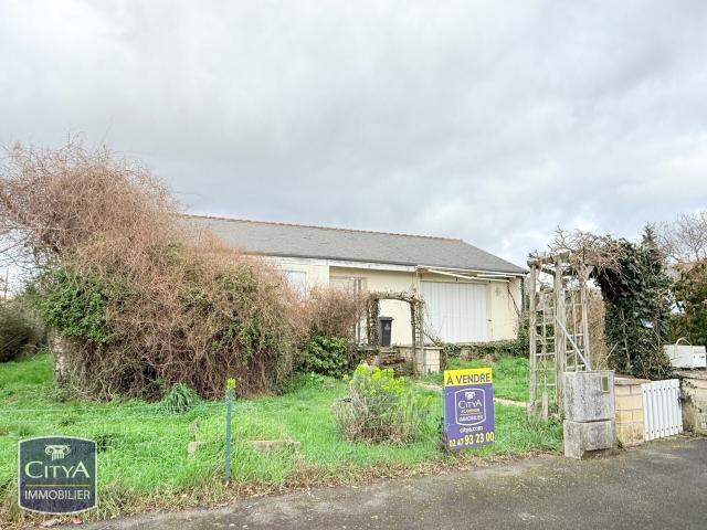 Bourgueil Vente Maison 37